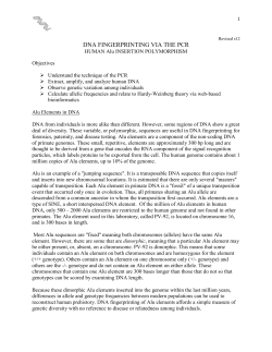 HUMAN Alu INSERTION POLYMORPHISM