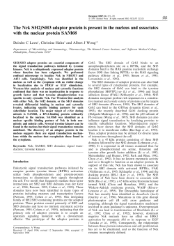 The Nck SH2/SH3 adaptor protein is present in the nucleus