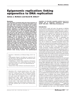 Epigenomic replication: linking epigenetics to DNA replication