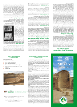 Shivta site pamphlet