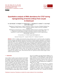 Quantitative analysis of RNA abondance for CTCF during