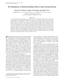 The Distribution of Beneficial Mutant Effects Under