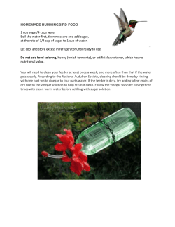 HOMEMADE HUMMINGBIRD FOOD 1 cup sugar/4 cups water Boil