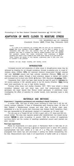 Adaptation of white clover to moisture stress