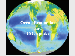 Ocean Production and CO uptake