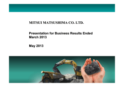 Presentation for Business Results Ended March 2013