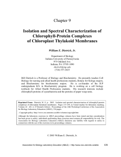 Isolation and Spectral Characterization of Chlorophyll