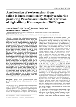 Amelioration of soybean plant from saline