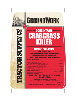 Concentrate Brush Killer 40 oz.