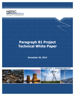 Paragraph 81 Project Technical White Paper