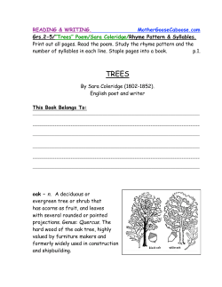 Grs. 2-5 - Rhyme Pattern