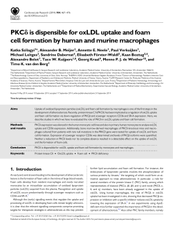 PKCd is dispensible for oxLDL uptake and foam cell formation by