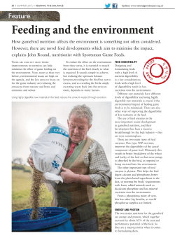 feeding game and the environment