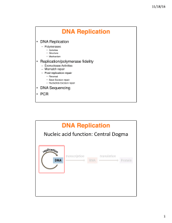 DNA Replication DNA Replication