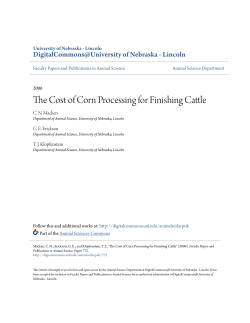 The Cost of Corn Processing for Finishing Cattle