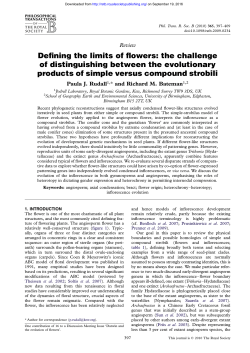 Defining the limits of flowers: the challenge of