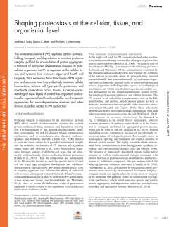 Fig. - The Journal of Cell Biology