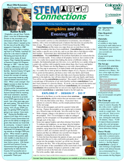 Pumpkins and the Evening Sky!