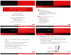 4-Panel - Joseph M. Mahaffy