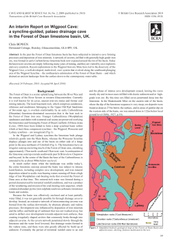 An interim Report on Wigpool Cave: a syncline