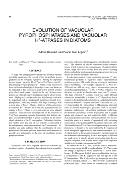 evolution of vacuolar pyrophosphatases and