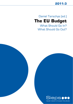 The Long-Term Budget of the European Union: What Should Go In