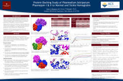Protein Docking Study of Plasmodium