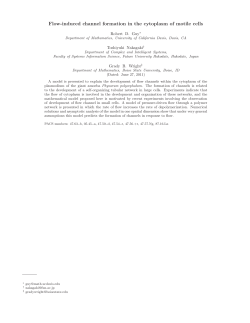 Flow-induced channel formation in the cytoplasm of motile cells