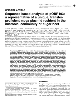 Sequence-based analysis of pQBR103