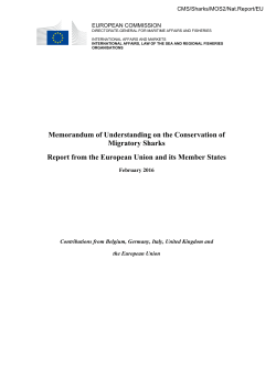 Memorandum of Understanding on the Conservation of Migratory