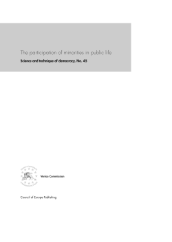 The participation of minorities in public life