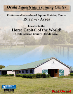 Ocala Equestrian Training Center