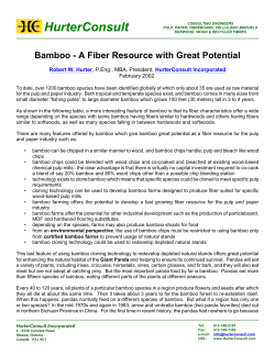 Bamboo - HurterConsult Incorporated