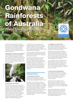 Gondwana Rainforests of Australia