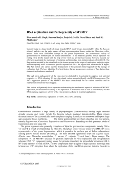 DNA replication and Pathogenecity of MYMIV