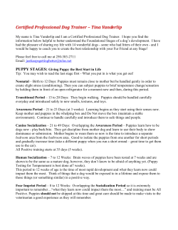 PUPPY TESTING FOR TEMPERMENT is done at 7 weeks