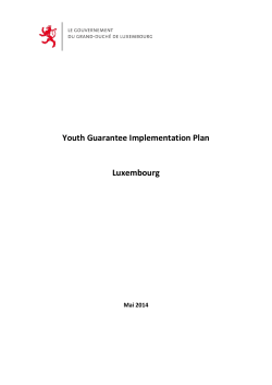 Outline for the national Youth Guarantee Implementation Plans (YGIP)