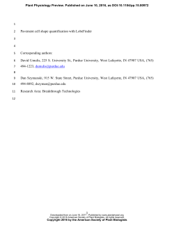 LobeFinder: a convex hull-based method for