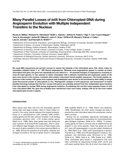 Many Parallel Losses of infA from Chloroplast DNA during
