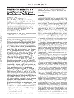 Perfluoroalkyl Contaminants in an Arctic Marine Food Web