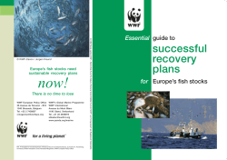 successful recovery plans Essential guide to for Europe`s fish
