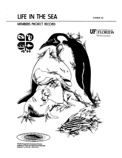 Print 00002795.tif (1 page)