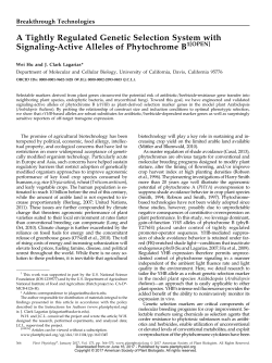 A Tightly Regulated Genetic Selection System