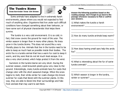 3rd Grade Reading Comprehension Worksheets