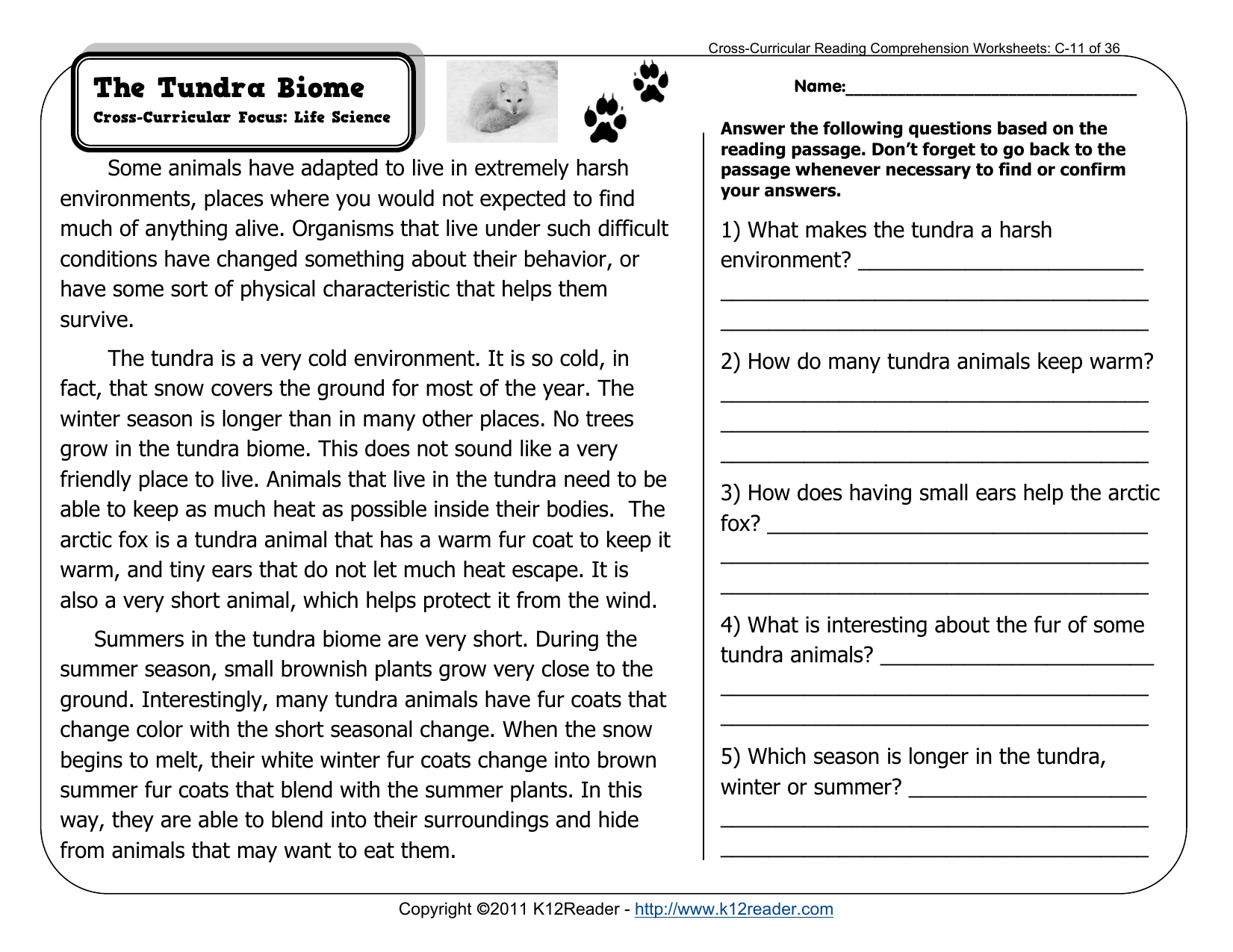 3rd grade reading comprehension worksheets