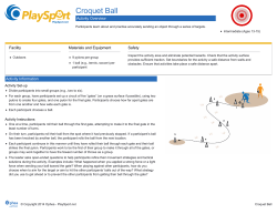 Croquet Ball