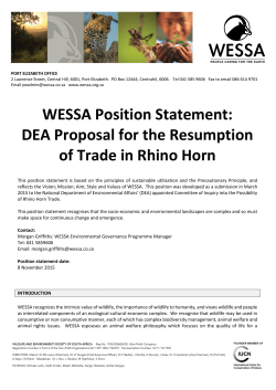 Rhino Horn Trade