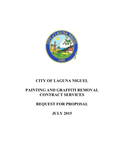city of laguna niguel painting and graffiti removal contract services