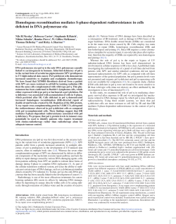 Homologous recombination mediates S-phase
