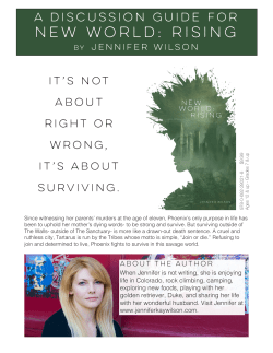 New World: Rising - Jennifer Kay Wilson